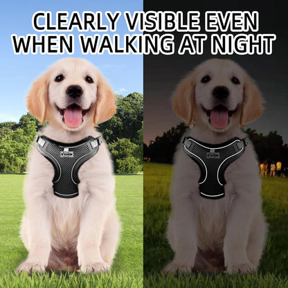 Dog Harness Medium Breathable Vest, Step-In Cat Puppy Collars and Lead Sets, Adjustable Dog Harness and Lead Set with Collar for Small Medium Pet Training or Walking Safety