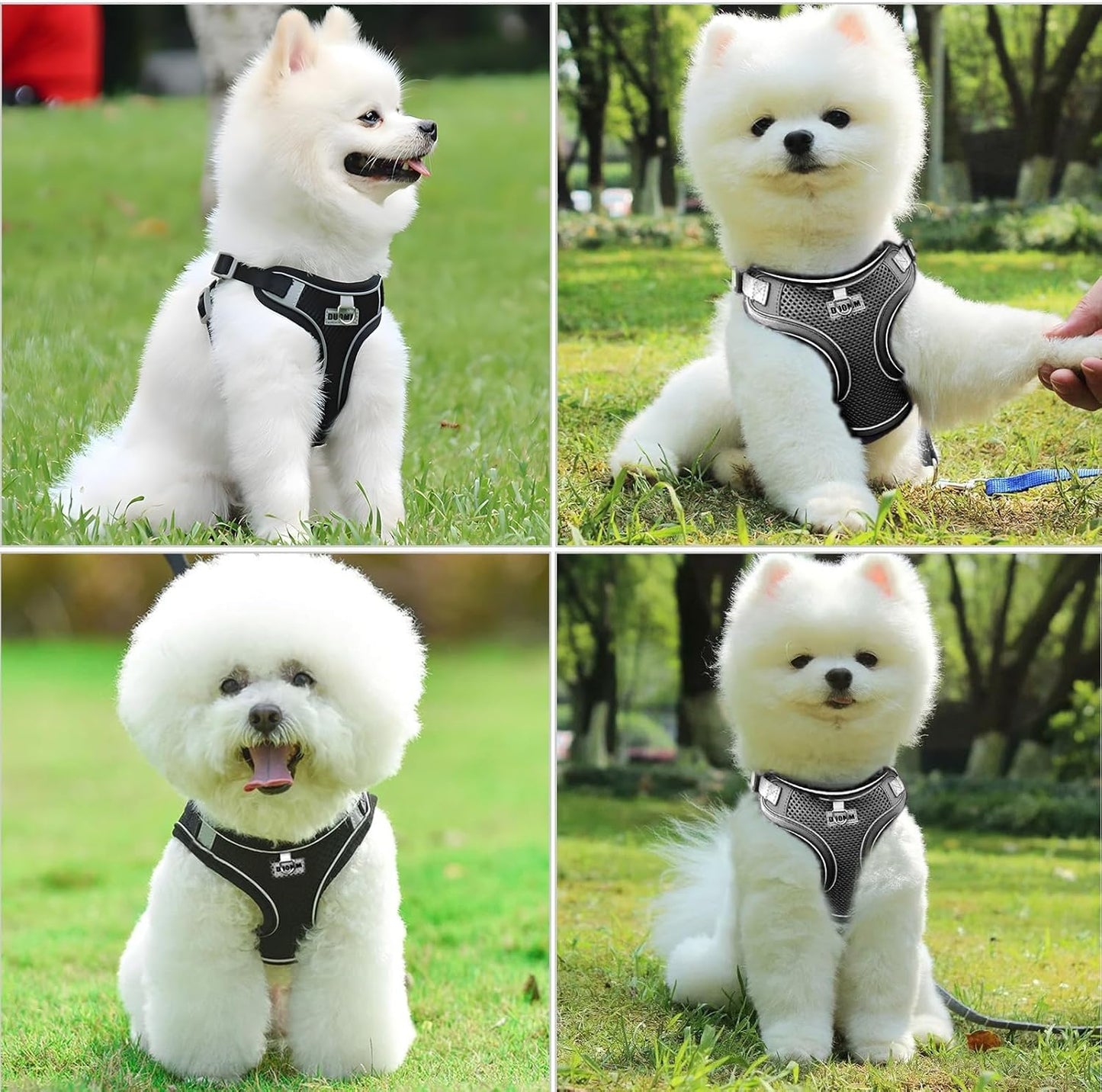 Dog Harness Medium Breathable Vest, Step-In Cat Puppy Collars and Lead Sets, Adjustable Dog Harness and Lead Set with Collar for Small Medium Pet Training or Walking Safety