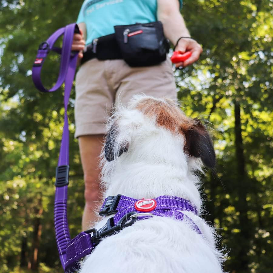 Command Dog Clicker | Dog Training, Training Clicker for Dogs, Dog Training Clickers, Puppy Training, Hands-Free, Positive Reinforcement, Wrist Strap, (Black)