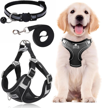 Dog Harness Medium Breathable Vest, Step-In Cat Puppy Collars and Lead Sets, Adjustable Dog Harness and Lead Set with Collar for Small Medium Pet Training or Walking Safety