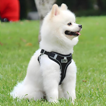 Dog Harness Medium Breathable Vest, Step-In Cat Puppy Collars and Lead Sets, Adjustable Dog Harness and Lead Set with Collar for Small Medium Pet Training or Walking Safety